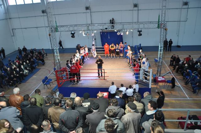 2013-03-04-Revija_boksa-3