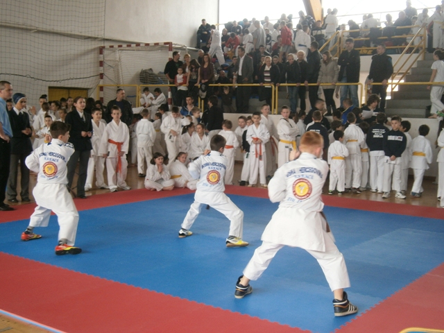 2013-03-09-Turnir_u_kareteu-3