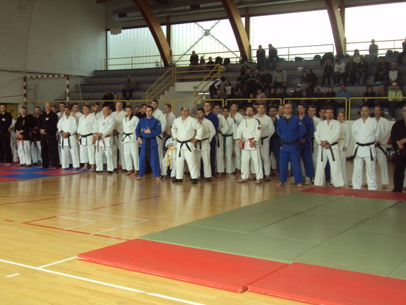 2010-10-09SeminarBorilackihVjestina2